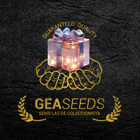 gea seeds